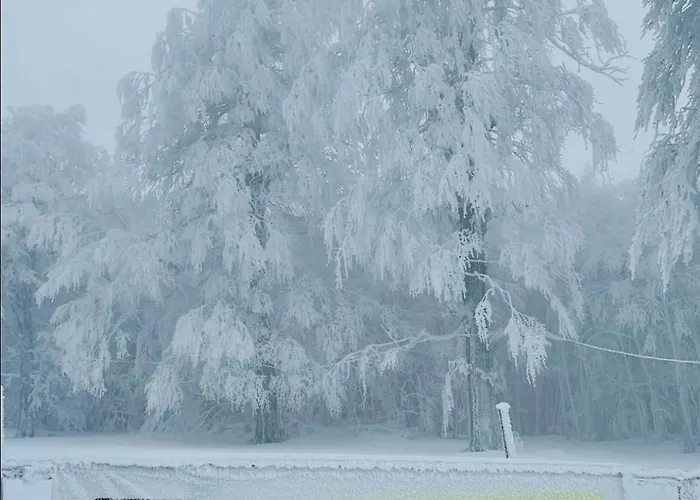 Balkan Tower-rest Lejlighed *